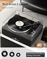ANGELS HORN Bluetooth Vinyl Record Player — image 2