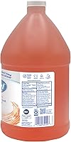 Dial Professional Original Antibacterial Defense Foaming Hand Wash 1 Gallon Refill — image 2