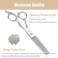 JASON 6″ Texturizing Hair Scissors — image 4