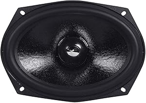 Rockville RVL69W 6x9″ Competition Woofer, 300W Peak, 150W RMS Review
