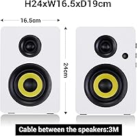 Sanyun SW206 — image 2