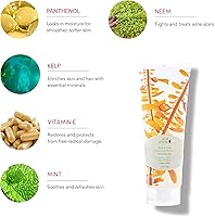 100% PURE Kelp & Mint Volumizing Shampoo 8 Fl Oz — image 3