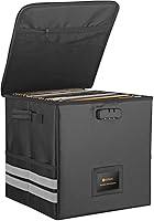 Neoteck Vinyl Record Storage Box with Lock — image 1