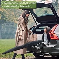 TRMESIA 60 Inch Projector Screen with Stand — image 2