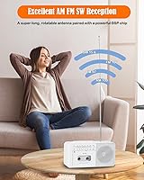 FIOLEES TD-816 Rechargeable Cassette Tape Player Boombox with Bluetooth — image 5