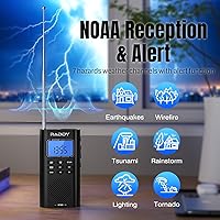 Raddy RF886 Portable Digital Radio — image 6