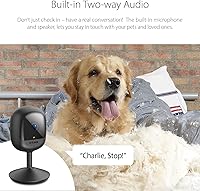 D-Link DCS-6100LHV2 Compact Full HD Pro Wi-Fi Camera — image 2