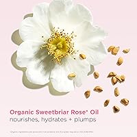 Clarins Lip Oil Balm 0.1oz - Pale Pink — image 5