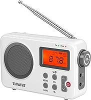 ZHIWHIS ZWS-8801 Portable AM/FM/Shortwave Radio — image 1