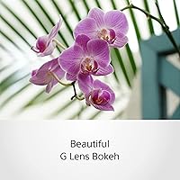 Sony SELP18105G E PZ 18-105mm F4 G OSS Lens — image 5