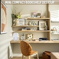 Sunbuck AS-22 Mini Amplifier — image 2