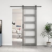 BARNSMITH 36x96 Glass Barn Door — image 1