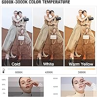 BEIYANG Softbox Lighting Kit 2x20″x28″ — image 3