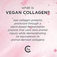 Pacifica Vegan Collagen Overnight Face & Eye Cream Set of 2 — image 4