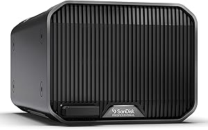 SanDisk Professional G-RAID Mirror 48TB