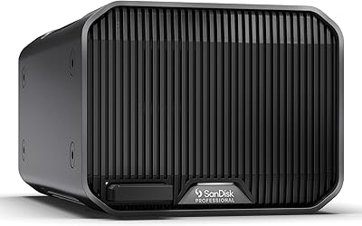 SanDisk Professional G-RAID Mirror 12TB