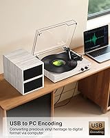 TANLANIN TE-003GW Vintage Bluetooth Turntable — image 3