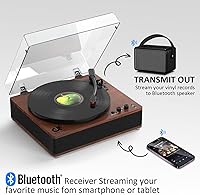 DANFI AUDIO DF TE-3008 Bluetooth Turntable — image 3