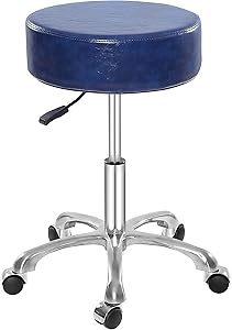 Lilfurni Thick Padding Swivel Rolling Stool (Blue) Review