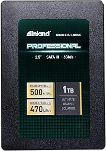 INLAND Professional 1TB SSD