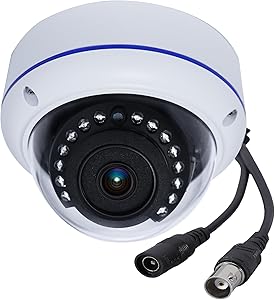 DCSEC 1080P 2MP 180° Surveillance Camera Review