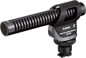 Canon DM-100 Directional Stereo Microphone Review