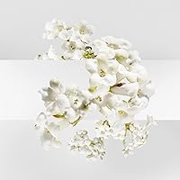 Hermès Un Jardin Sur La Lagune Eau de Toilette 3.3oz — image 5