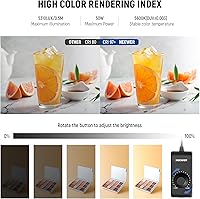 NEEWER 50W Upgraded Photo Studio Light Box LP50 — image 3