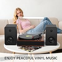 DANFI AUDIO DF TE-3008 Bluetooth Turntable — image 5