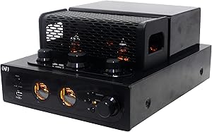 INFI Audio Hybrid Class AB Tube Amplifier 6N3 Power Amp Review