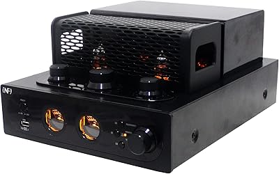 INFI Audio IF-AD05 Hybrid Tube Amplifier