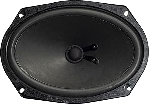 Magnadyne 6x9 Woofer Subwoofer Review
