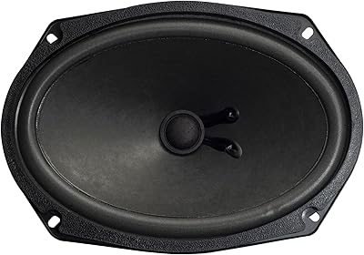 Magnadyne 6x9 Woofer Subwoofer