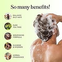 Maple Holistics Tea Tree Shampoo and Conditioner Set 16oz — image 3