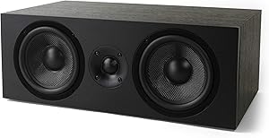 NEUMI CS5 Center Channel Speaker Review