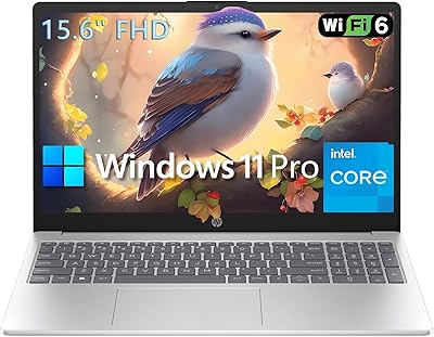 HP 15 Intel N100 16GB/256GB
