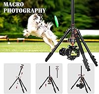 Nietoto 2-in-1 Tripod for Camera & Hunting, 68″ — image 8