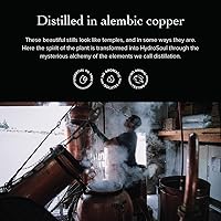 evanhealy Rose Geranium HydroSoul 4oz — image 7