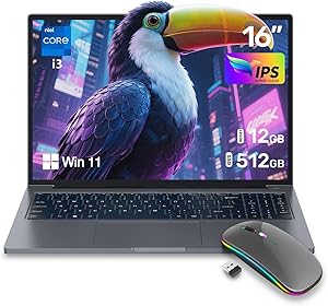 ZOLWAYTAC N160MU2-TU140 Gaming Laptop, Core i3, 12GB RAM, 512GB SSD, 16-inch FHD IPS Review