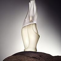 Donna Karan Cashmere Mist Eau de Toilette 3.4oz — image 4