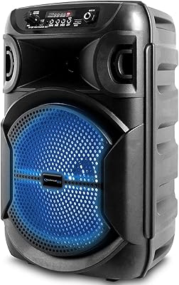 Technical Pro BOOM8 8-Inch Bluetooth Speaker