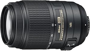 Nikon AF-S DX NIKKOR 55-300mm f/4.5-5.6G ED VR Zoom Lens