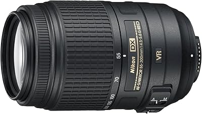 Nikon AF-S DX NIKKOR 55-300mm f/4.5-5.6G ED VR Zoom Lens