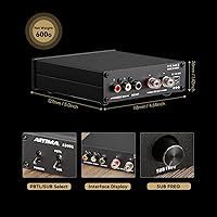 AIYIMA A3001 Mini Mono Amp 300W Subwoofer Amplifier — image 4