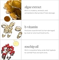 Briogeo Don't Despair, Repair! Super Moisture Conditioner — image 4