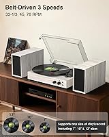 TANLANIN TE-003GW Vintage Bluetooth Turntable — image 4