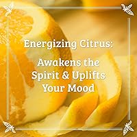 Pharmacopia Citrus Conditioner 16oz — image 4