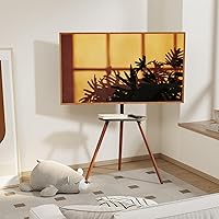 ECOTINY Tripod Easel TV Stand 43-65 inch — image 2