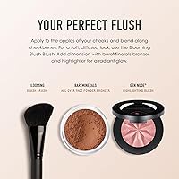 bareMinerals Loose Mineral Powder Blush - Vintage Peach — image 5