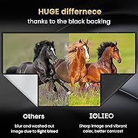 IOLIEO 120-inch Projector Screen 16:9 — image 3